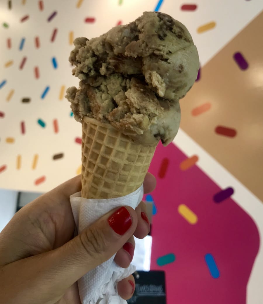 Sorvete vegano de chocolate com café em Babcock Ranch, na Flórida - Andrea Miramontes / Lado B Viagem