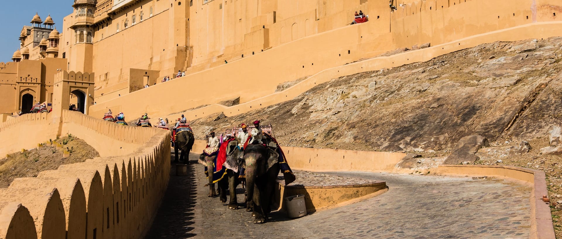 20 Elefantes São Liberados Da Escravidão Em Amer Fort, Na Índia - Lado ...