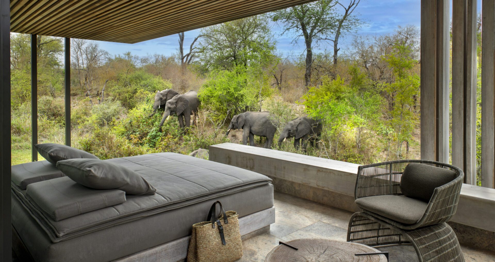 africa do sul hotel cheetah